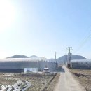 전남 화순 스마트팜 농장 추천 사정상 급매매 이미지