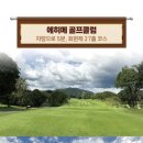 치꼬 이미지