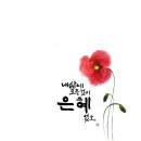 글씨테라피, 캘리그라피 이미지