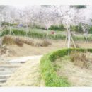 명륜자연유치원 이미지