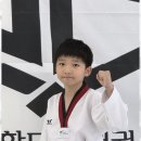 마루한 다한 태권도 이미지