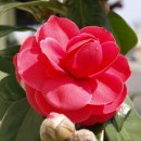 석훈농장 이미지