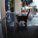 겨울바다 호스텔 이미지