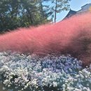 행복공원 이미지