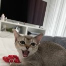 무럭무럭(주) 이미지