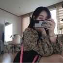 남愛머리