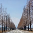 월호평길 이미지