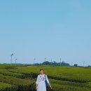 서들농장 이미지