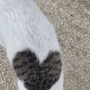 금오초교 이미지