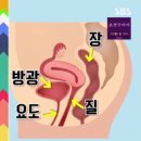 프라임여성의원 네이버블로그