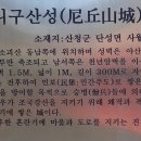 남사-1 이미지