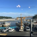 산호정