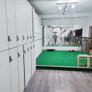 에이스골프아카데미 이미지