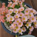 여난농장 이미지