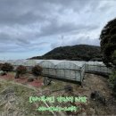 상효동-6 이미지