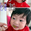 꼬마베베