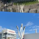 V10휘트니스 | 세계여행 4. 알프스 로드 트립