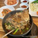 청년정성