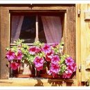 향기3로 이미지