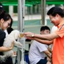 멍멍스쿨 이미지