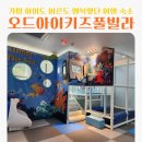 원우전자 | 가평 오드아이키즈풀빌라 오드오션 펜션 아쉬웠지만 잘 즐긴 후기