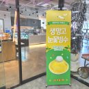 부곡길L | 김천 부곡동 카페 팜앤키친라비브 신라호텔 뺨치는 망고빙수 맛집 내돈내산 후기