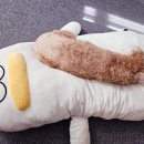 (주)더원메디칼 네이버블로그