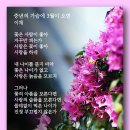 중년의 가슴에 3월이 오면 - 이채 이미지