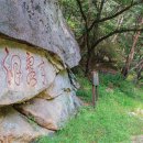 석천농로 이미지