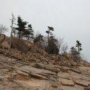H9106 Daum카페