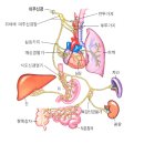 (주)다미 이미지