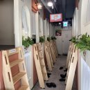 놀숲 | 혼자 놀기 좋은 신촌만화카페 놀숲 프리미엄 신촌점 힐링후기