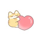 온마음 동물메디컬센터 이미지