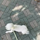 뭉치쌀롱 이미지