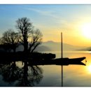 달빛에 물들이고 이미지