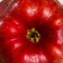 금당골농장 이미지