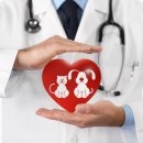 진심동물내과심장병원 이미지