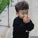 대림농장2 이미지