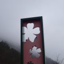 산안2리마을 이미지