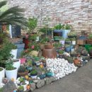 산방산 탄산온천 펜션 이미지