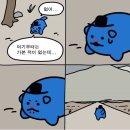 오라로아
