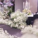 보코 서울 강남 이미지