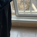 닥터k동물병원 | 성북구 방역 출장방역 닥터K방역 성북구 아파트 바퀴벌레방역 후기