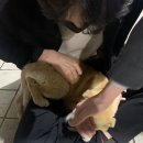 오리정주유소 이미지