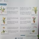 서울식물원 12번째 난초 시작 이미지