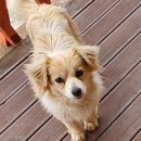 동아펜션 이미지