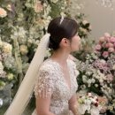 H-2 | [w.23] 본식 웨딩염색 [하미유 부평 H 2호점] 보라 디자이너 내돈내산 후기