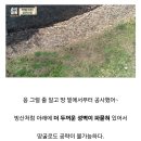 3년만에 지었지만 내구도와 방어력이 미쳐버린 한국의 산성...JPG 이미지