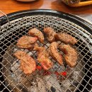 진품정육