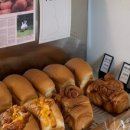 꼬솜(kkosom) 이미지